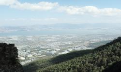 Featured image of post 使用 Mesquite 在基因组组装中搜索 Sanger 测序遗留基因