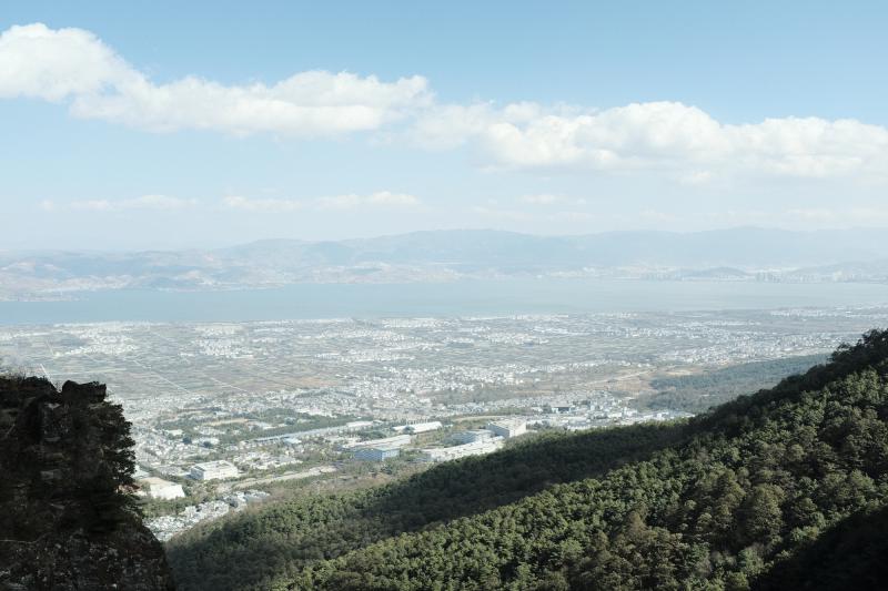 Featured image of post 使用 Mesquite 在基因组组装中搜索 Sanger 测序遗留基因