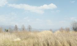 Featured image of post 比较基因组学分析2：基因家族的扩张与收缩