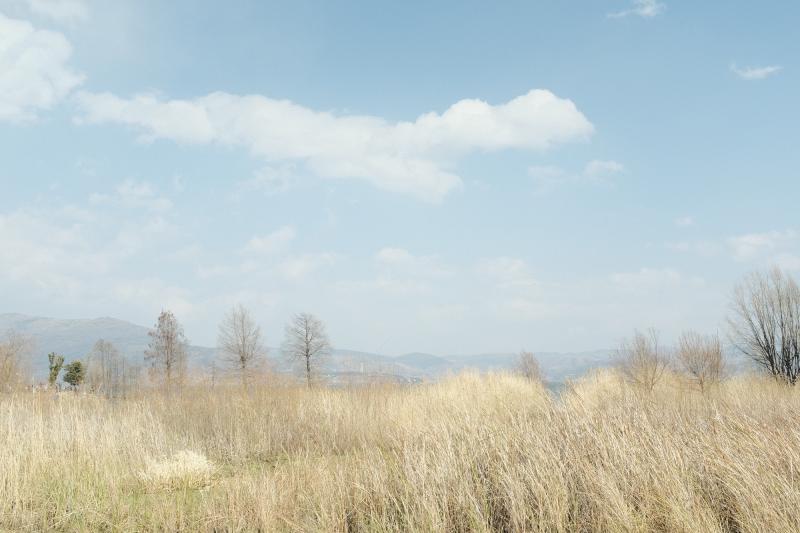 Featured image of post 比较基因组学分析2：基因家族的扩张与收缩