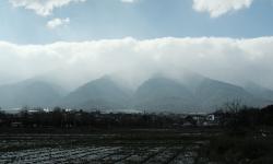 Featured image of post 染色体共线性分析