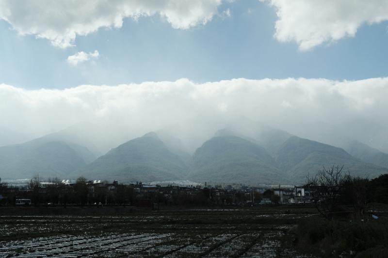 Featured image of post 染色体共线性分析